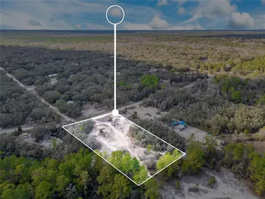 WEBSTER FL Property