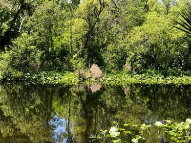 SANFORD FL Property
