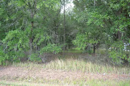 BOWLING GREEN FL Property