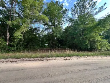 INTERLACHEN FL Property
