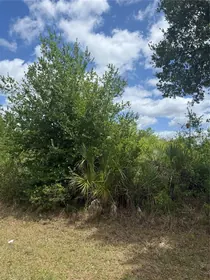 PORT CHARLOTTE FL Property