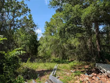 NEW PORT RICHEY FL Property