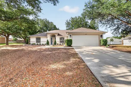 LEESBURG FL Home