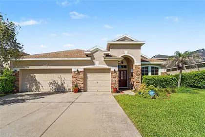WESLEY CHAPEL FL Home