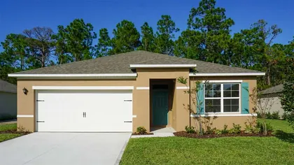 NEW SMYRNA BEACH FL Home