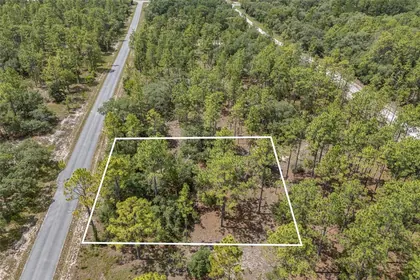 DUNNELLON FL Property