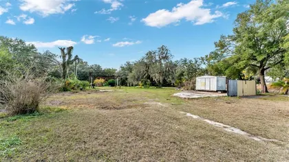 PLANT CITY FL Property