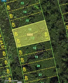 PUNTA GORDA FL Property
