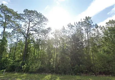 PALATKA FL Property
