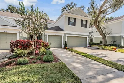 BRANDON FL Home
