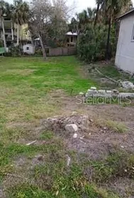CEDAR KEY FL Property