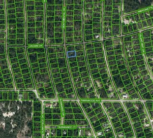 LAKE PLACID FL Property