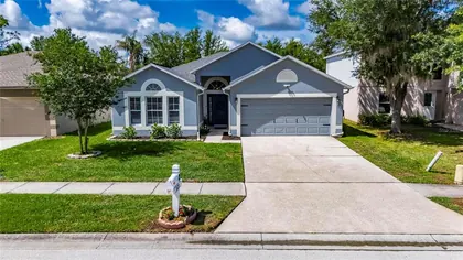 WESLEY CHAPEL FL Home