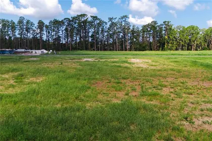 ODESSA FL Property
