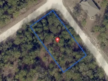 BROOKSVILLE FL Property