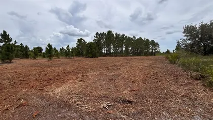 OKEECHOBEE FL Property