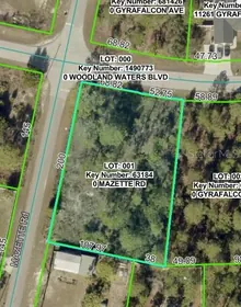 WEEKI WACHEE FL Property