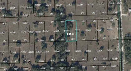 BRANFORD FL Property