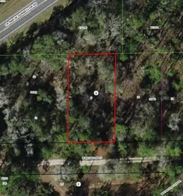 DUNNELLON FL Property