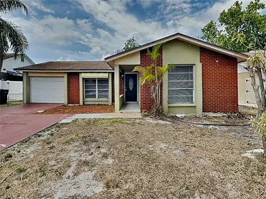 TAMPA FL Home