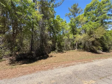 DUNNELLON FL Property