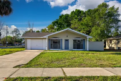 MOUNT DORA FL Home