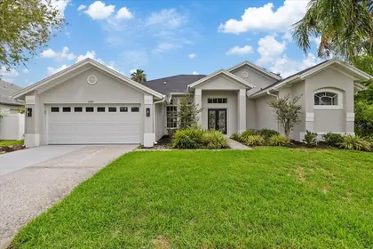 TAMPA FL Home