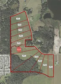 DADE CITY FL Property