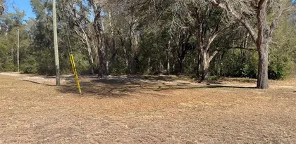 SPRING HILL FL Property