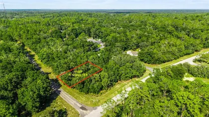 DUNNELLON FL Property