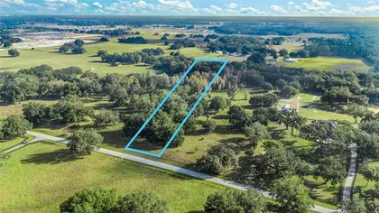 WILDWOOD FL Property