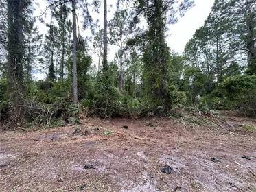 GEORGETOWN FL Property