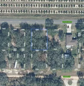 AVON PARK FL Property
