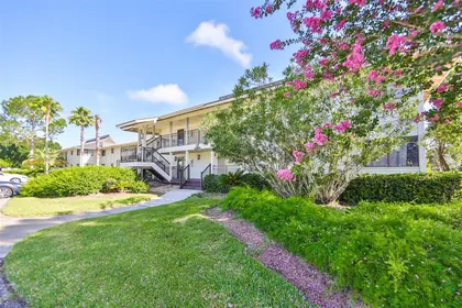 WESLEY CHAPEL FL Home