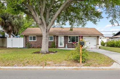 TAMPA FL Home