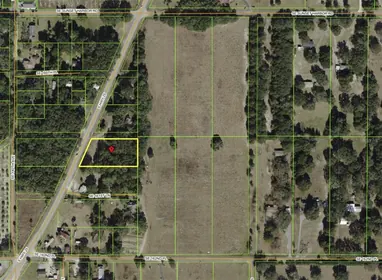 WEIRSDALE FL Property