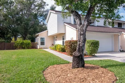 TAMPA FL Home