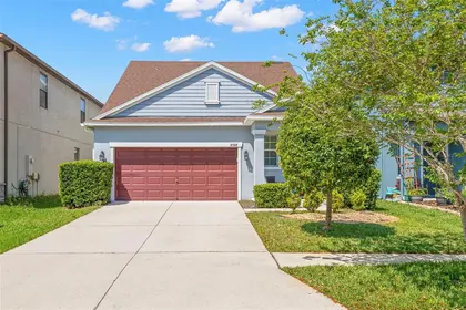 LAND O LAKES FL Home