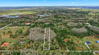 ORLANDO FL Property