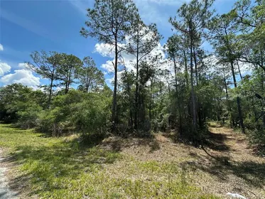 CRYSTAL RIVER FL Property