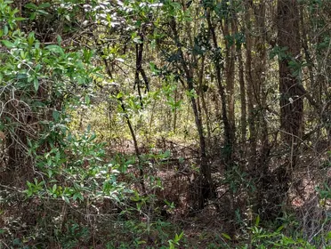 DUNNELLON FL Property