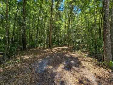 INVERNESS FL Property