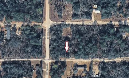 WILLISTON FL Property