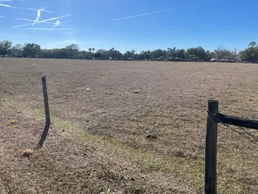 PLANT CITY FL Property