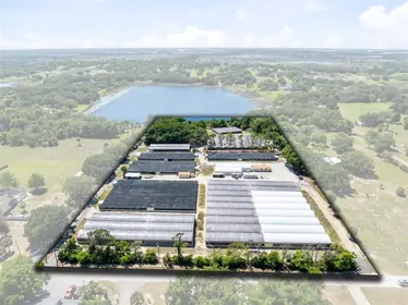 MINNEOLA FL Property