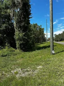 BRONSON FL Property