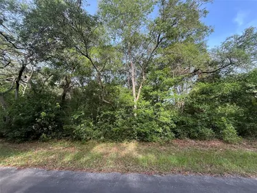 HERNANDO FL Property