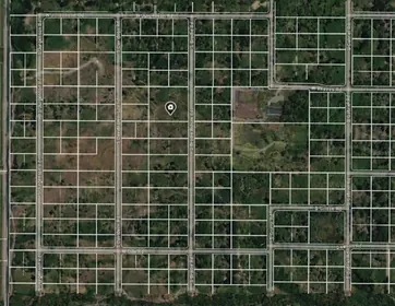 AVON PARK FL Property