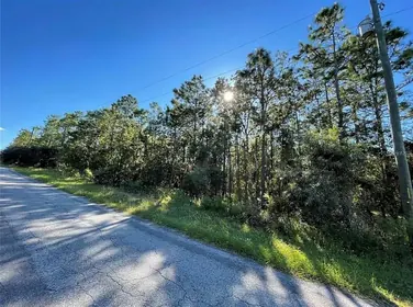 HOMOSASSA FL Property