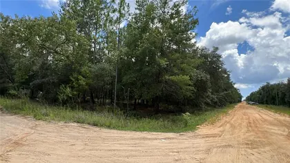 INTERLACHEN FL Property